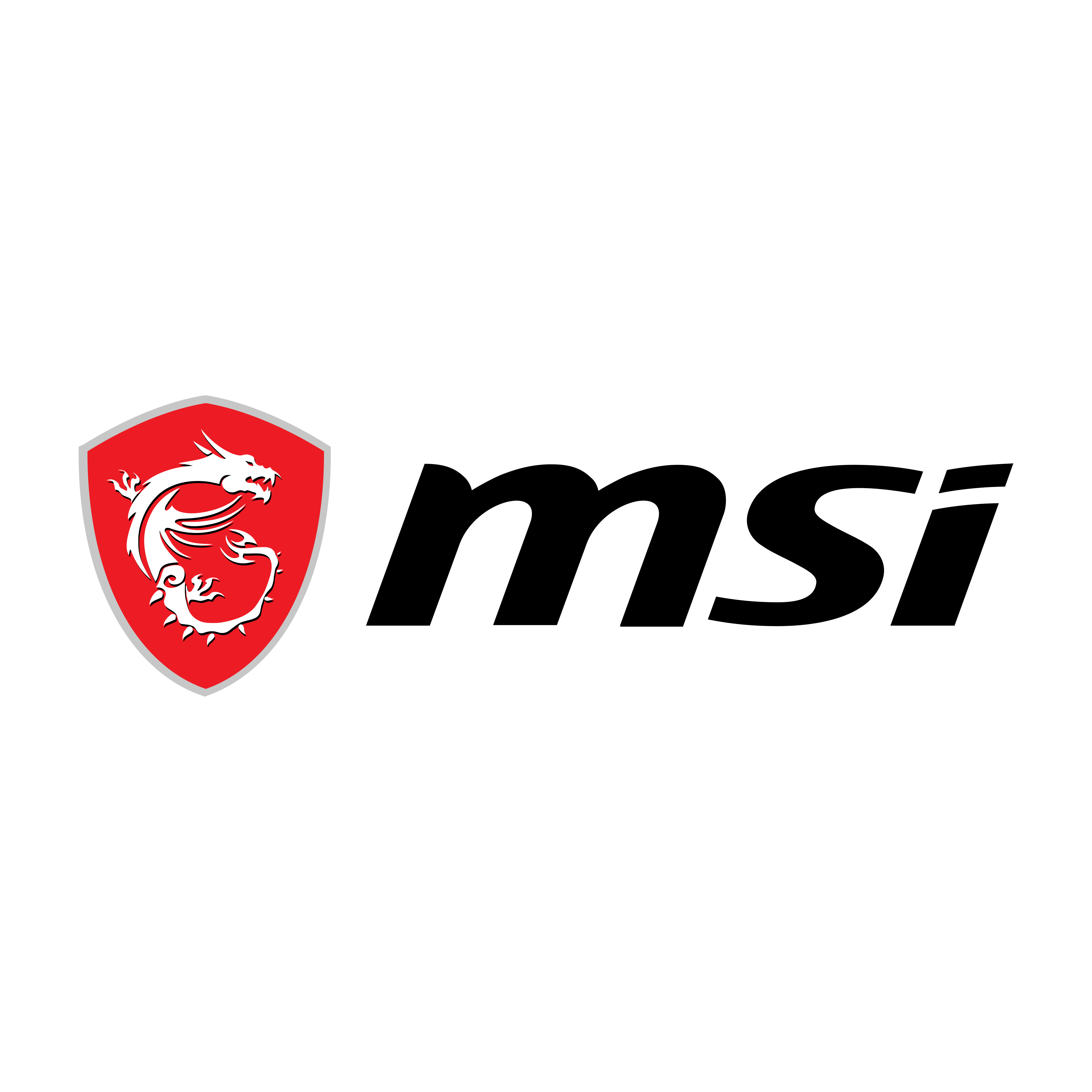 MSI Logo PNG.