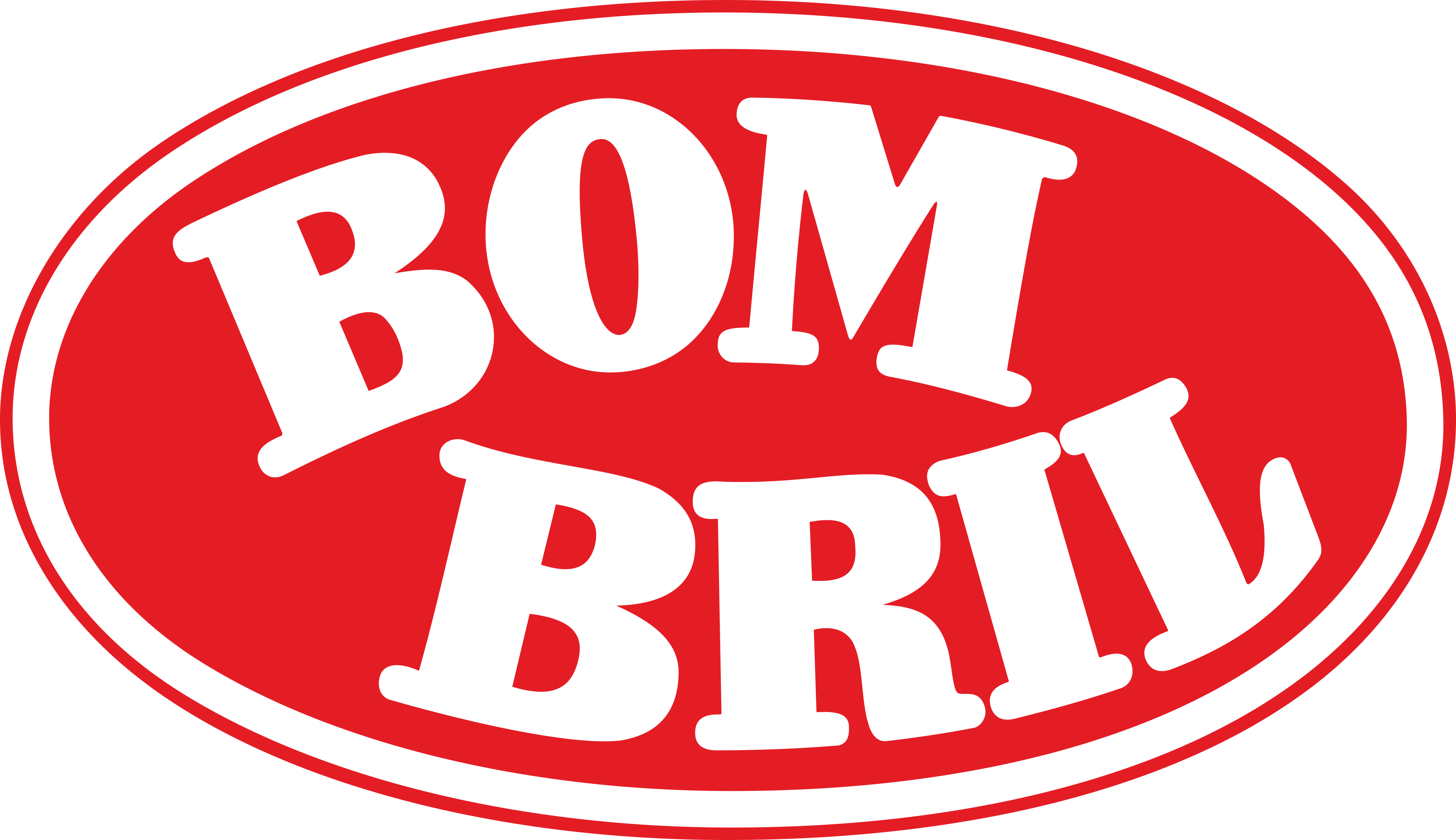 Bombril Logo.