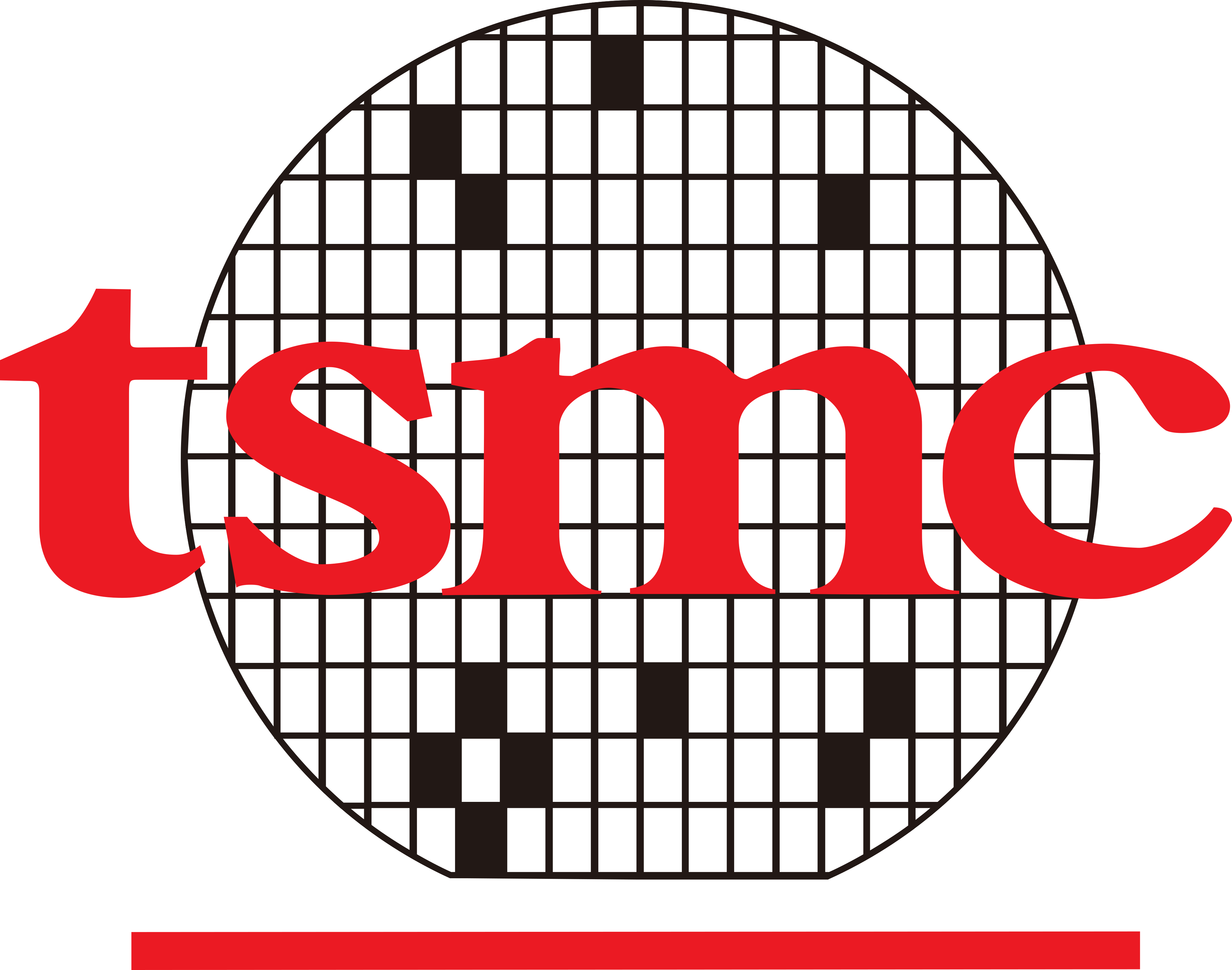 TSMC Logo.